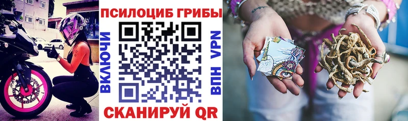 Псилоцибиновые грибы Psilocybe  Бронницы 